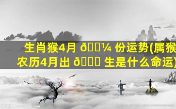 生肖猴4月 🌼 份运势(属猴农历4月出 🐞 生是什么命运)